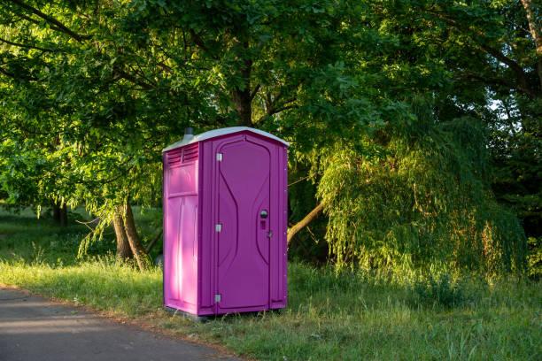 Best Luxury portable toilet rental  in Fairbury, IL